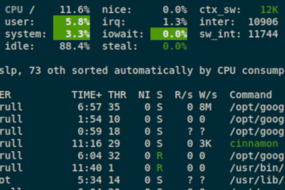 Monitoring systemu Linux